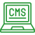 custom cms